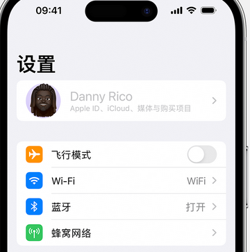 沿滩appleID维修服务iPhone设置中Apple ID显示为灰色无法使用