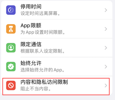 沿滩appleID维修服务iPhone设置中Apple ID显示为灰色无法使用