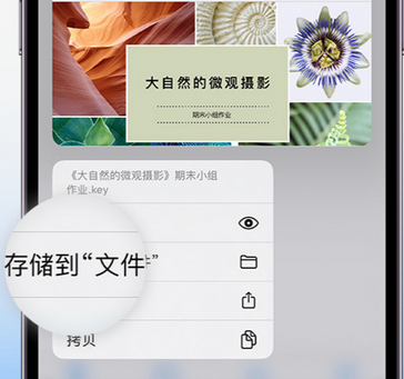 沿滩apple维修中心分享iPhone文件应用中存储和找到下载文件