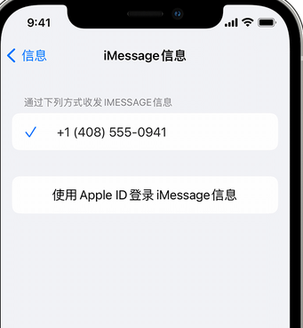 沿滩apple维修iPhone上无法正常发送iMessage信息 