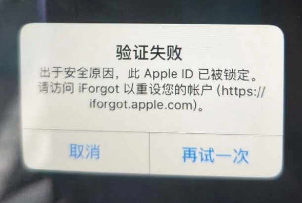 沿滩iPhone维修分享iPhone上正常登录或使用AppleID怎么办 