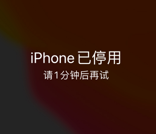 沿滩苹果手机维修分享:iPhone 显示“不可用”或“已停用”怎么办？还能保留数据吗？ 