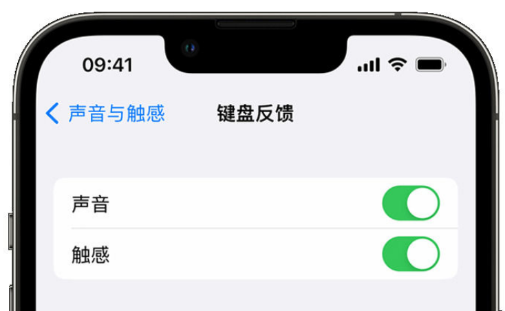 沿滩苹果手机维修分享iPhone 14触感键盘使用方法 