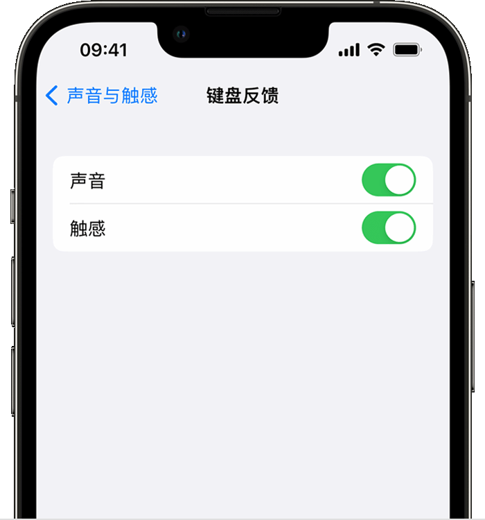 沿滩苹果14维修店分享如何在 iPhone 14 机型中使用触感键盘 