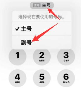 沿滩苹果14维修店分享iPhone 14 Pro Max使用副卡打电话的方法 