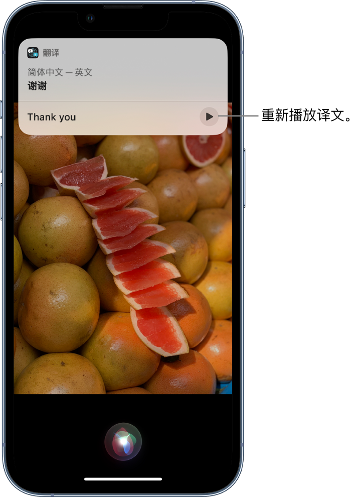 沿滩苹果14维修分享 iPhone 14 机型中使用 Siri：了解 Siri 能帮你做什么 