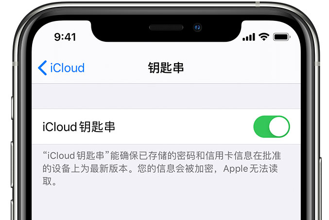 沿滩苹果手机维修分享在 iPhone 上开启 iCloud 钥匙串之后会储存哪些信息 