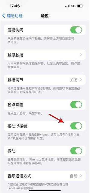 沿滩苹果手机维修分享iPhone手机如何设置摇一摇删除文字 