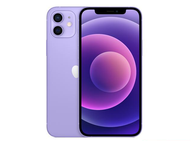 沿滩苹果手机维修分享现阶段要不要入手紫色版iPhone12 