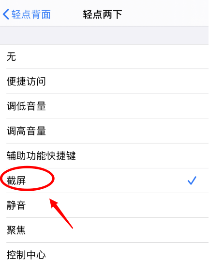 沿滩苹果手机维修分享iPhone12如何启用双击截屏 